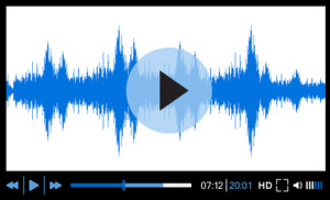 Audiovisuelles Projekt - EVS Translations Audiovisuelles Projekt - EVS Translations