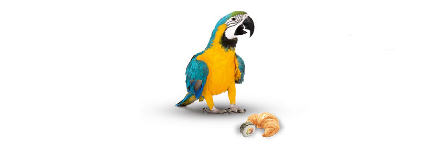 start-all-lang-croissant