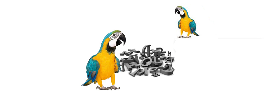 Translation services